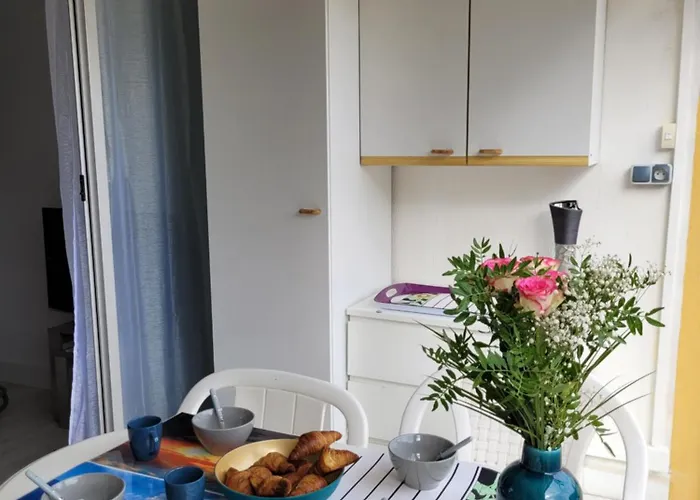Vela Aurea, 4 Couchages En Rez De Jardin, Avec Terrasse Et Parking, A 500m De La Apartment